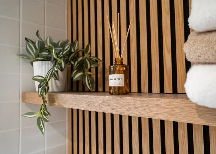 Klinovec Loučná pod Klínovcem