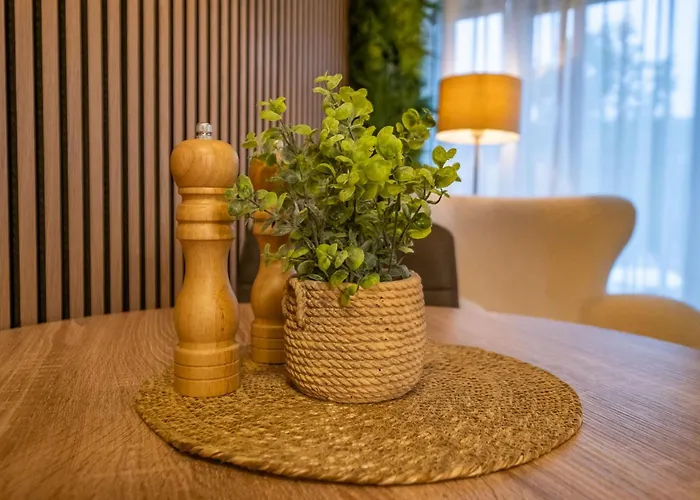 Klinovec Loučná pod Klínovcem